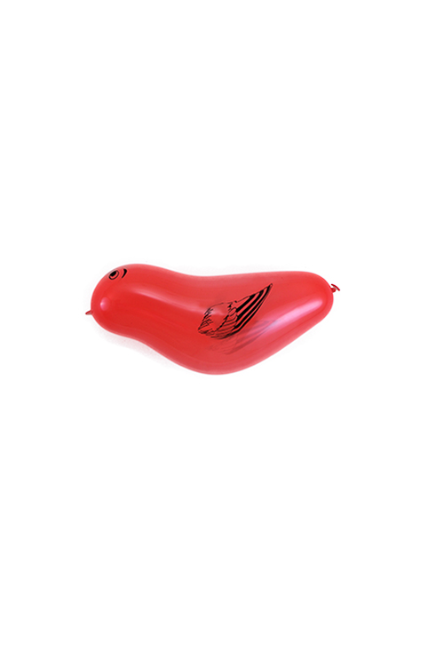 Bird40